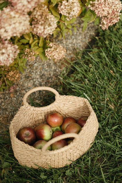 Orchard